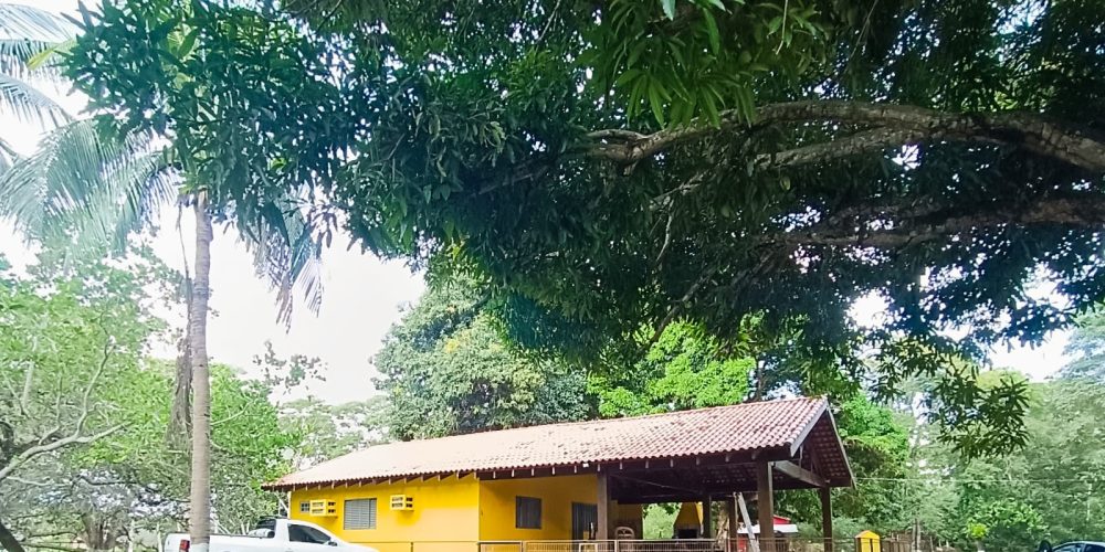 ChacaraBaus (15)