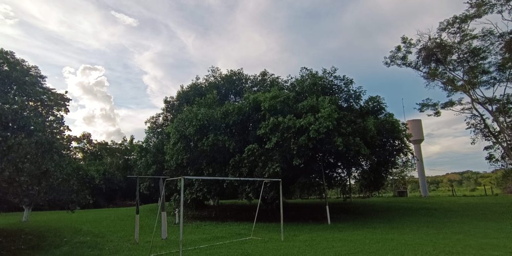 ChacaraBaus (3)